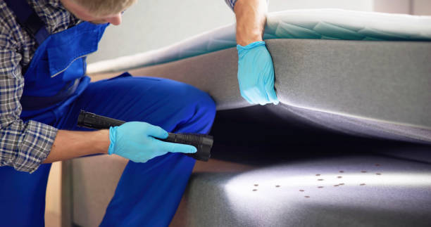 Best Cockroach Control Services  in Price, UT