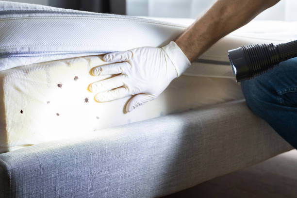 Best Best Pest Control Companies  in Price, UT